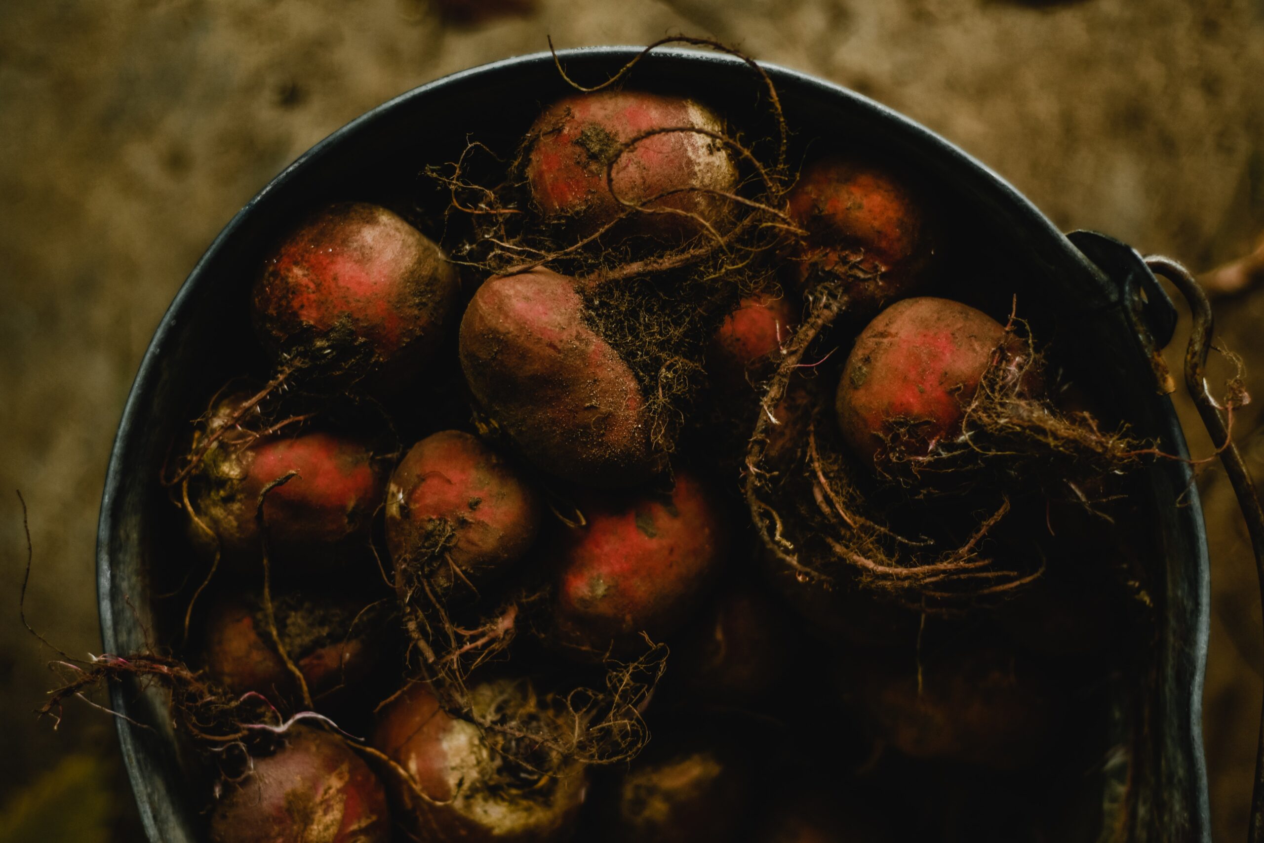 Best Beet Root Powder Brands For You